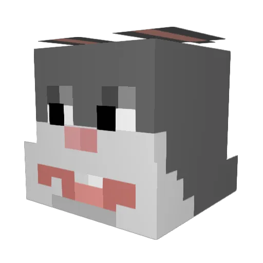 TheOneBigChungus Minecraft avatar head, 3D render