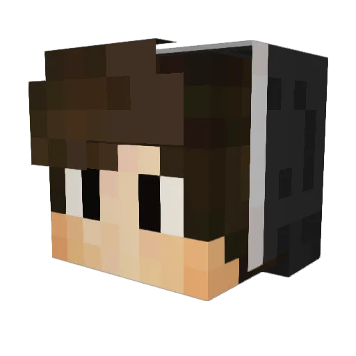 TheOneHamster Minecraft avatar head, 3D render