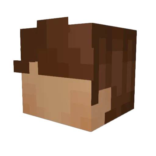 TheOneTrueSpy Minecraft avatar head, 3D render