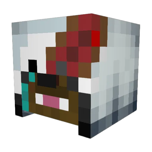 TheOneWhoBaccs Minecraft avatar head, 3D render