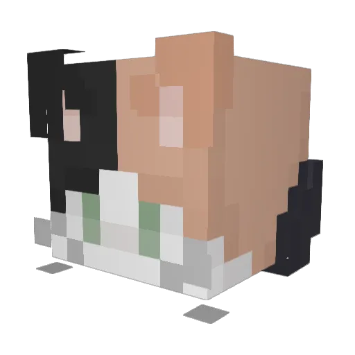 TheOne_Solar Minecraft avatar head, 3D render