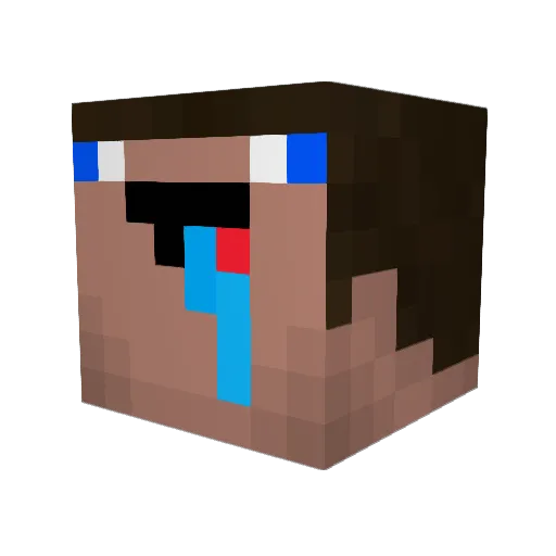 TheOnion06 Minecraft avatar head, 3D render