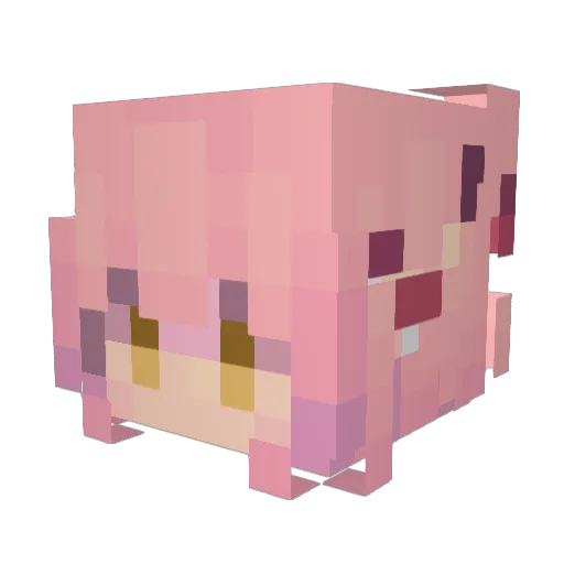 TheOnlyBork Minecraft avatar head, 3D render
