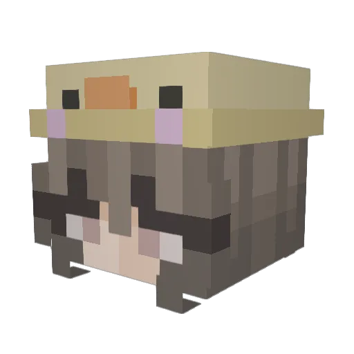 TheOnlyCookie Minecraft avatar head, 3D render