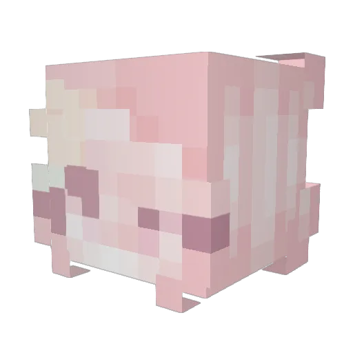TheOnlyGirl Minecraft avatar head, 3D render