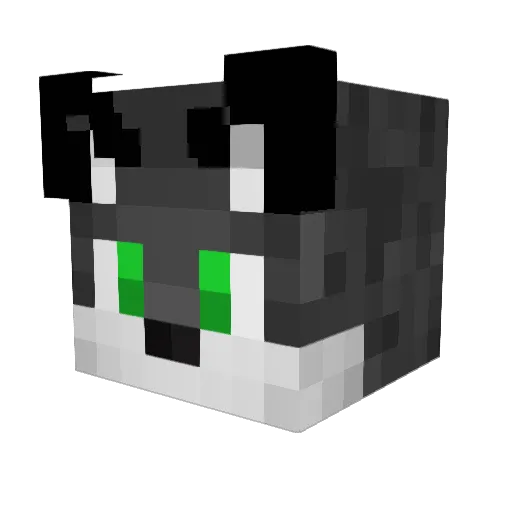 TheOnlyThing6669 Minecraft avatar head, 3D render