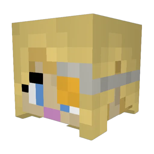 TheOnlyTrueCat Minecraft avatar head, 3D render