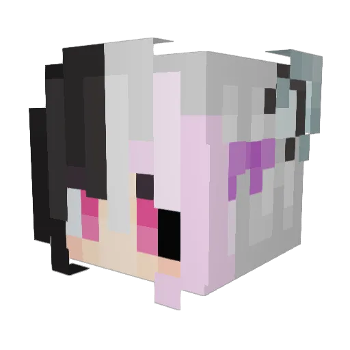TheOtherChase2 Minecraft avatar head, 3D render