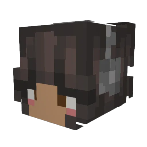TheOtherNia Minecraft avatar head, 3D render