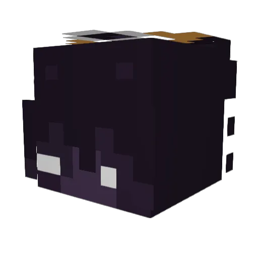 TheOtherOne1776 Minecraft avatar head, 3D render