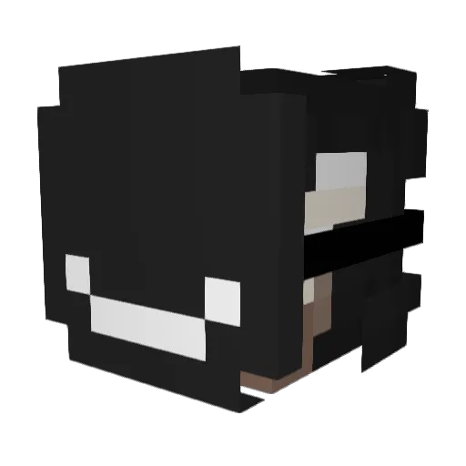 TheOverVoid Minecraft avatar head, 3D render