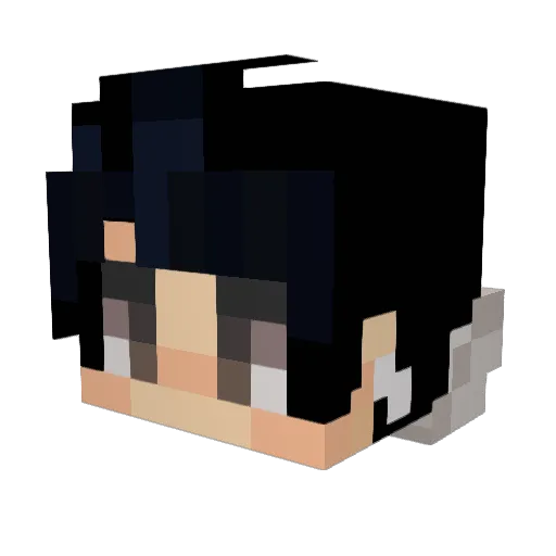 ThePIasticBag Minecraft avatar head, 3D render