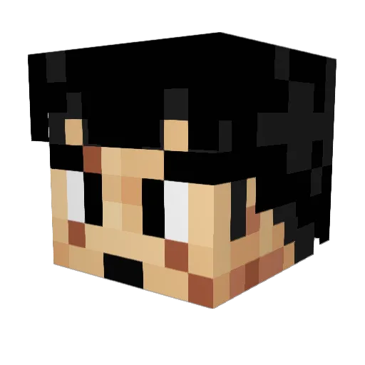 ThePackedLunch Minecraft avatar head, 3D render