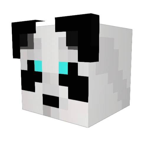 ThePanda114 Minecraft avatar head, 3D render