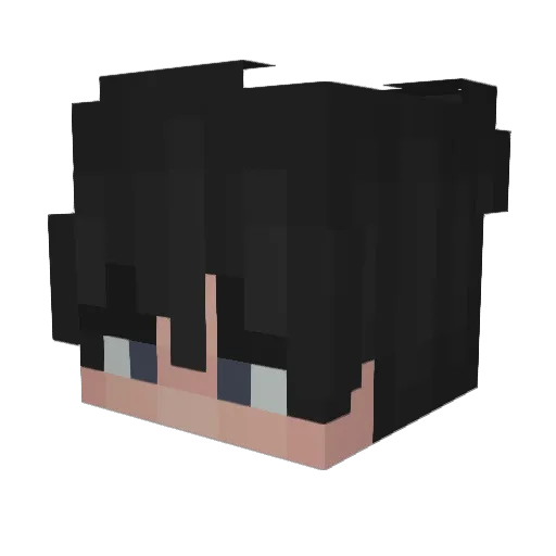 ThePandaJK Minecraft avatar head, 3D render