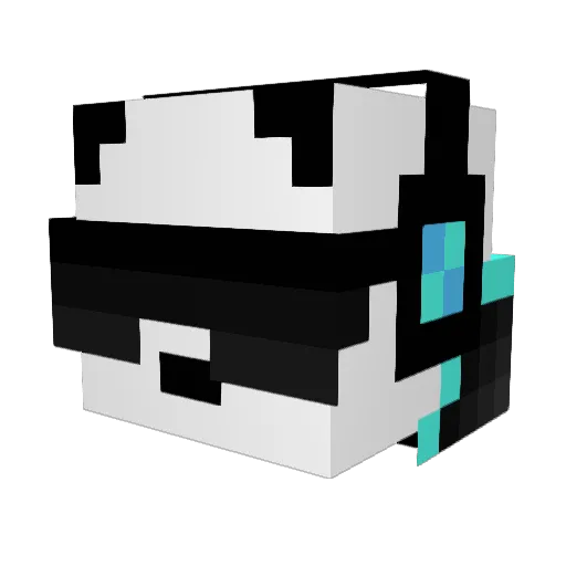 ThePandaTamer Minecraft avatar head, 3D render
