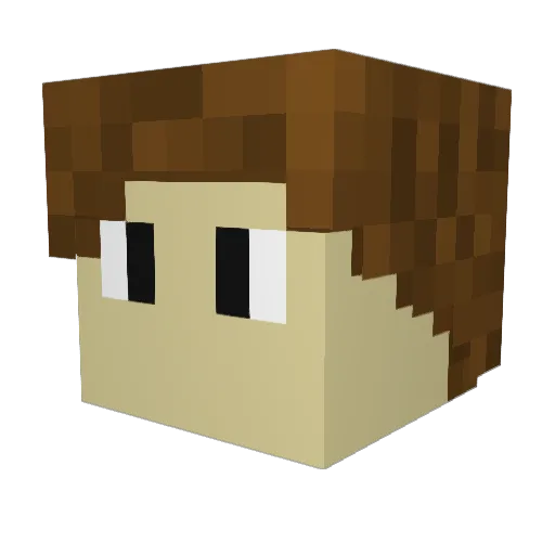 ThePawn08 Minecraft avatar head, 3D render