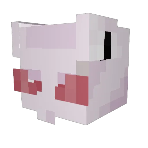 ThePeachyBoy Minecraft avatar head, 3D render
