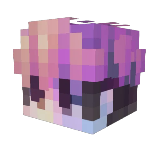 ThePeakyPenguin Minecraft avatar head, 3D render