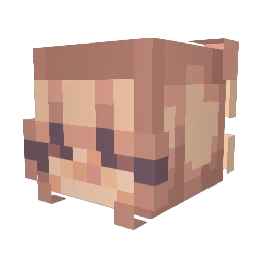ThePedroPascal Minecraft avatar head, 3D render