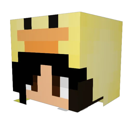 ThePepperHat Minecraft avatar head, 3D render