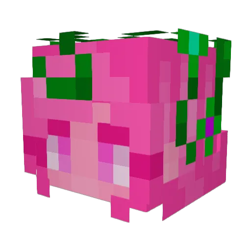ThePersephone Minecraft avatar head, 3D render