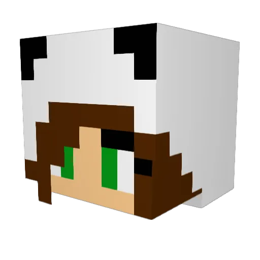 ThePersonBuilds Minecraft avatar head, 3D render