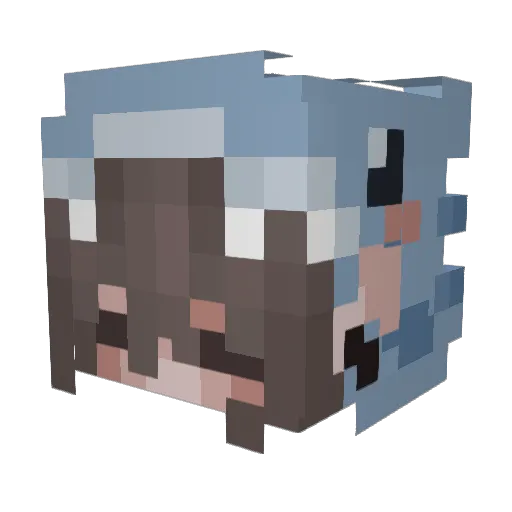 ThePetCollector Minecraft avatar head, 3D render