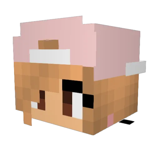 ThePicaroX Minecraft avatar head, 3D render