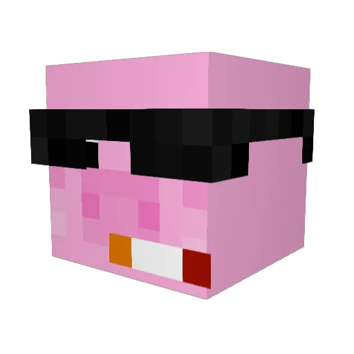 ThePigTamer Minecraft avatar head, 3D render