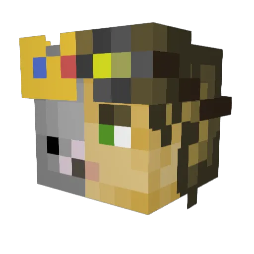 ThePigeonFR66 Minecraft avatar head, 3D render