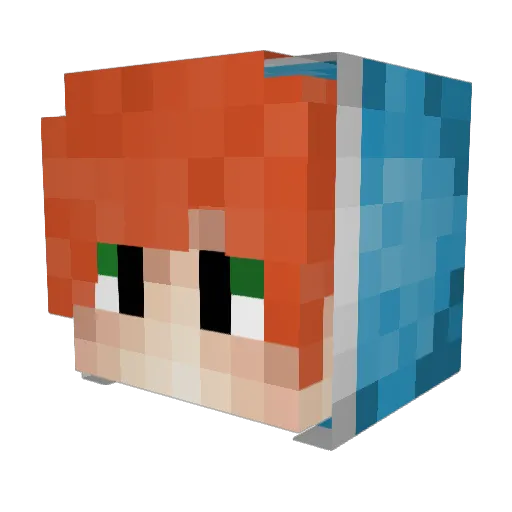 ThePineappleKid Minecraft avatar head, 3D render