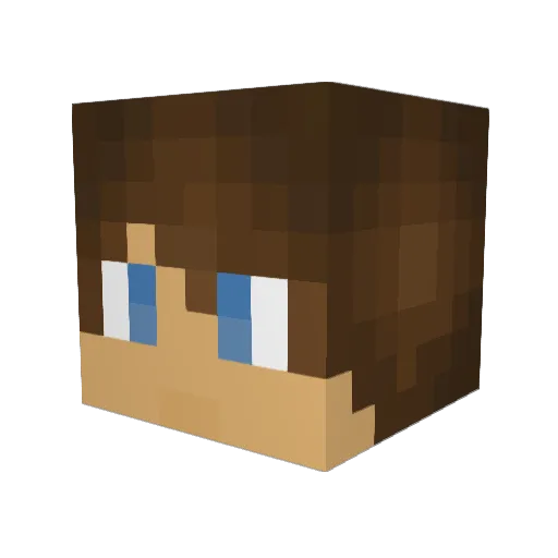 ThePirateGamer Minecraft avatar head, 3D render