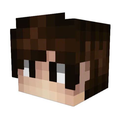 ThePixelDragon26 Minecraft avatar head, 3D render