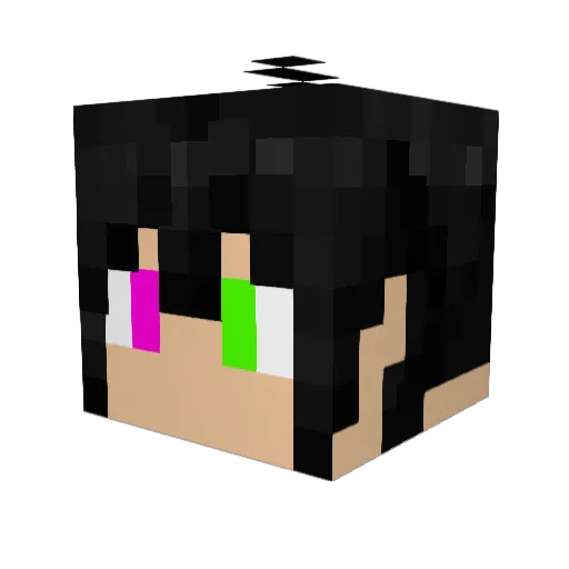 ThePlague1466 Minecraft avatar head, 3D render