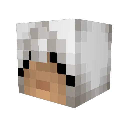 ThePochiLegacy Minecraft avatar head, 3D render