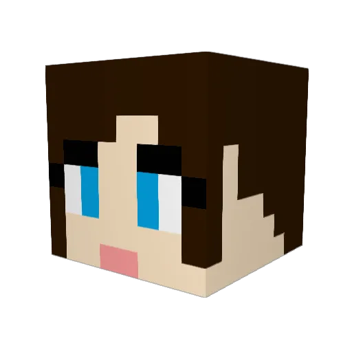 ThePocketNinja Minecraft avatar head, 3D render