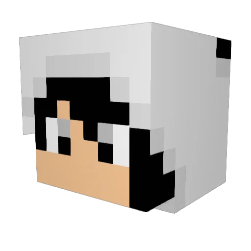 ThePokemanz Minecraft avatar head, 3D render