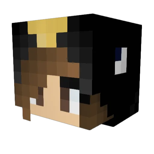 ThePoopyPenguin Minecraft avatar head, 3D render