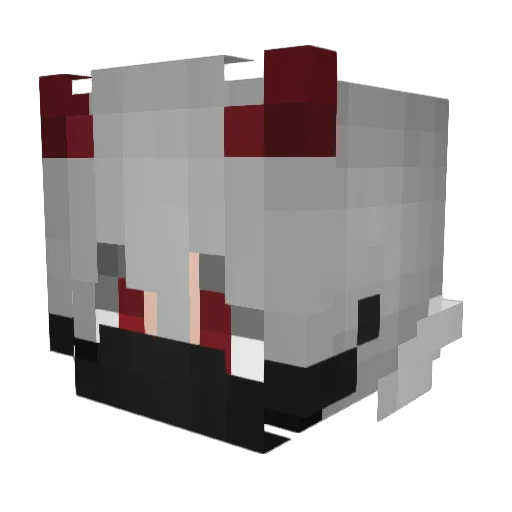 ThePoroProtector Minecraft avatar head, 3D render
