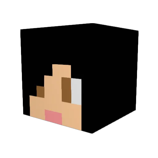 ThePr0t0 Minecraft avatar head, 3D render