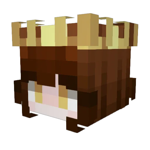 ThePrincesSofia Minecraft avatar head, 3D render