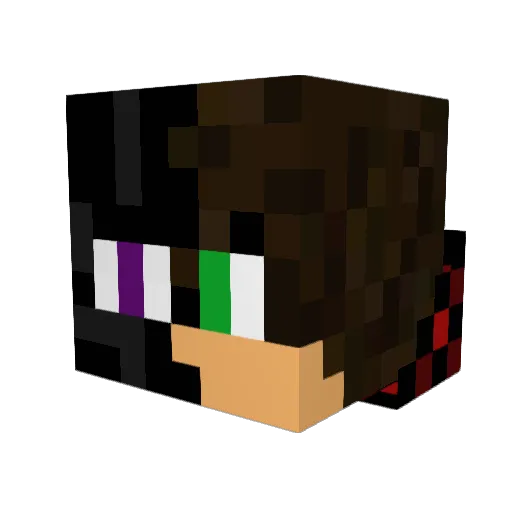 TheProGamer4 Minecraft avatar head, 3D render