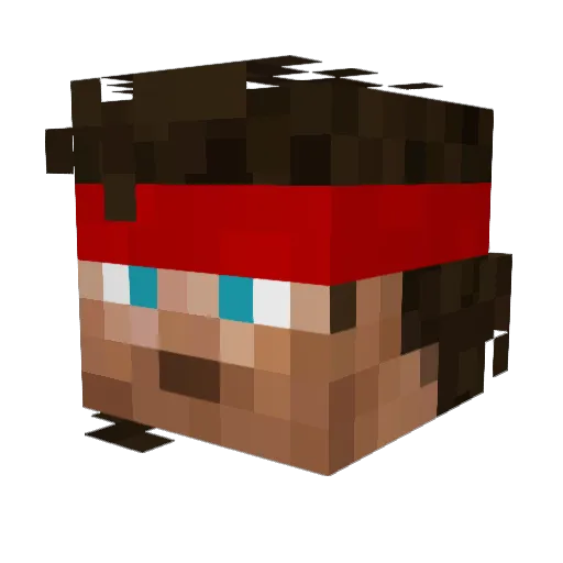 TheProGamerBoy Minecraft avatar head, 3D render