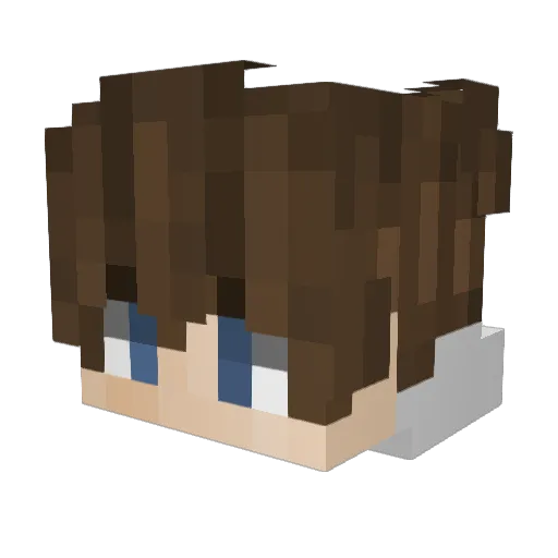 TheProMine1122 Minecraft avatar head, 3D render
