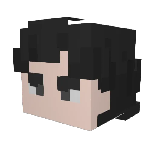TheProfDeSexe Minecraft avatar head, 3D render
