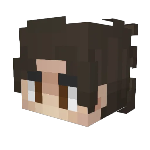 TheProkty Minecraft avatar head, 3D render