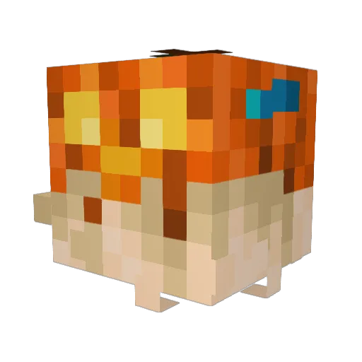 ThePuppetFish Minecraft avatar head, 3D render
