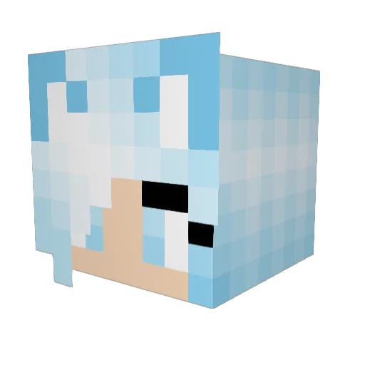 ThePuppyRoad Minecraft avatar head, 3D render