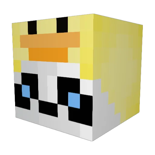 TheQuacker13 Minecraft avatar head, 3D render